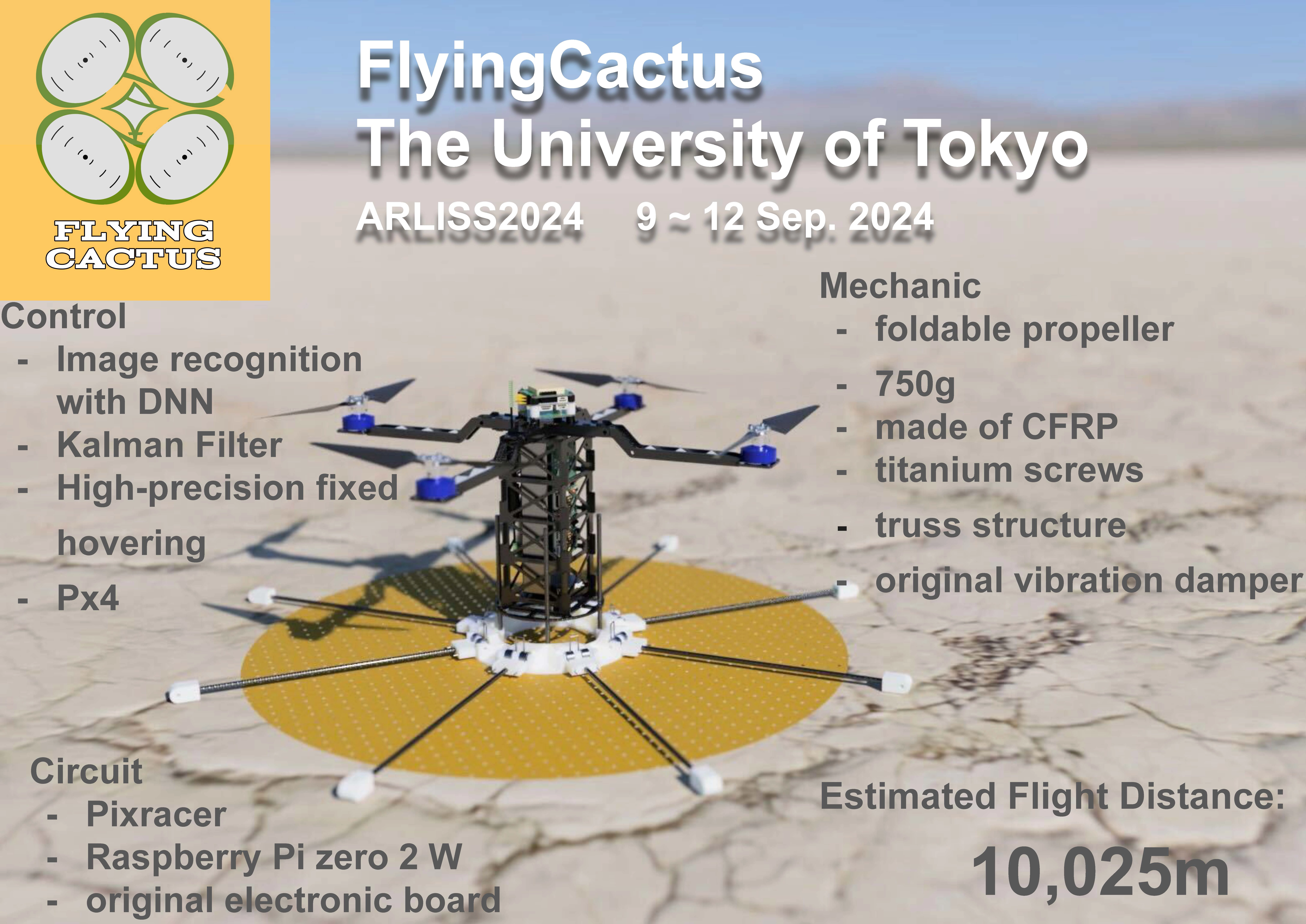 Flying Cactus